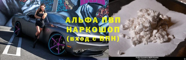 ешки Сясьстрой