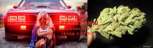 марихуана Тайга
