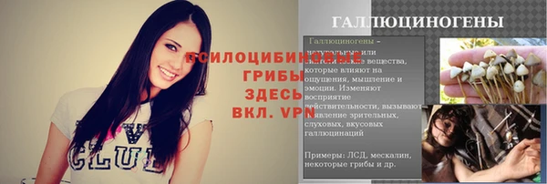 марихуана Тайга