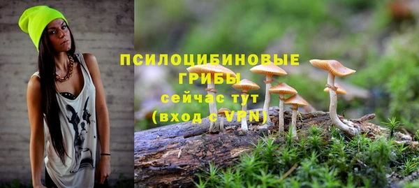 ешки Сясьстрой