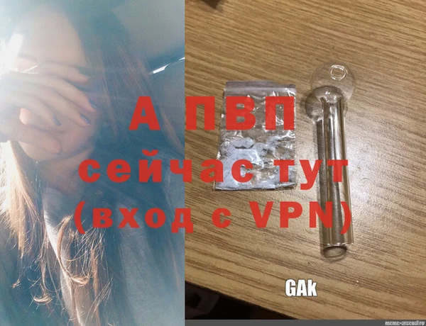ешки Сясьстрой
